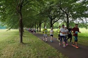Leafy surrounds of the running course