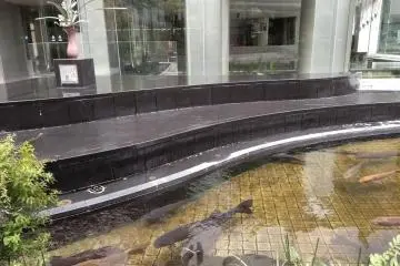 Koi and floral arrangement