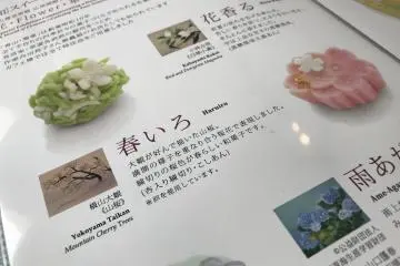 Some of the other seasonal wagashi that were available 