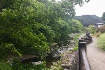 Idyllic riverside path