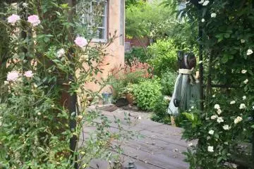 A secret garden.