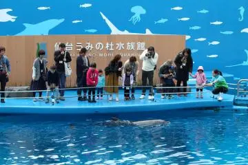 An excursion to the water stage