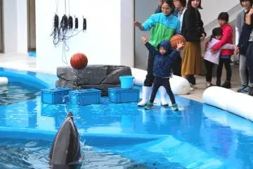Kids enjoyed playing ball with a dolphin