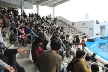 The auditorium