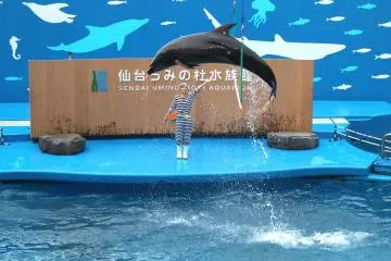 One big jump