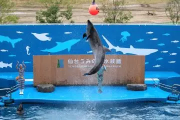 One more big jump