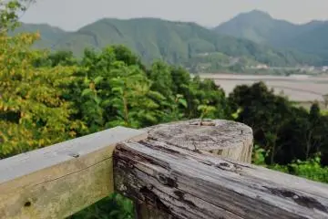 Di sini mereka bisa sedikit berbicara dalam Bahasa Inggris. Meskipun begitu, mereka akan berusaha sebaik mungkin membuat Anda merasa seperti berada di rumah.