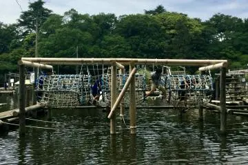 Clamber through the ropes