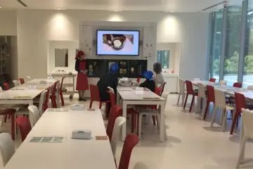 Experience making ice cream 
