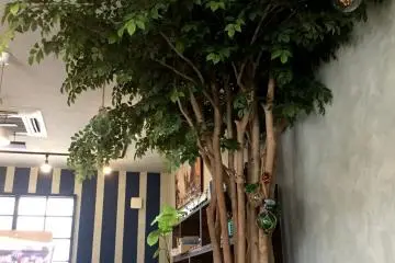 The tree over diner’s heads