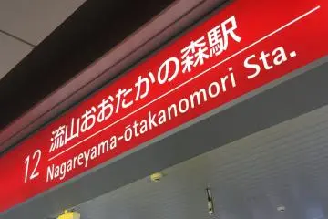 Nagareyama Ootakanomori SC
