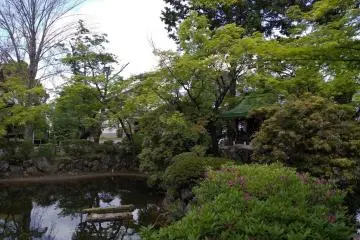 Zen pond