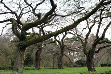This place must be gorgeous in spring!