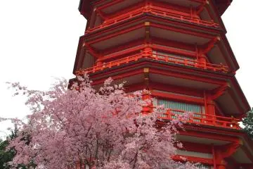 The area pops with color - particularly in spring!