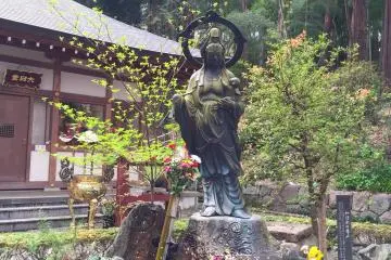 Greenery abounds in spring