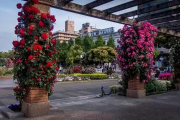 Many of this park's colorful displays are situated in front of the famous ‘New Grand Hotel’