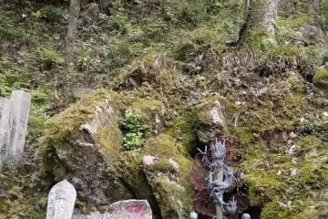 On the way up