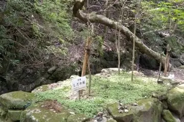 Grave of someone or something 