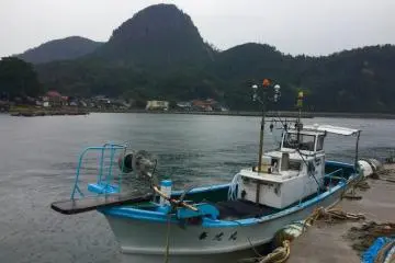 Fishing boats.