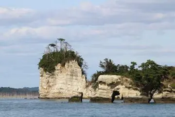 Picturesque islands with pine trees