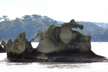 'Dragon' 