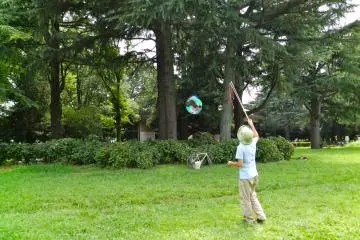 Can't see the bubbles for the trees