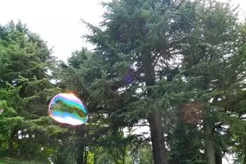 Freedom!