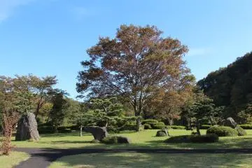 Beautiful park near the museum