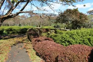 Museum park