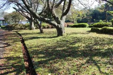 Museum park
