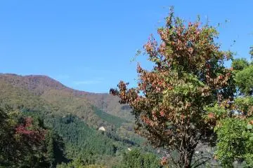 Bright autumn day
