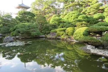 A pond