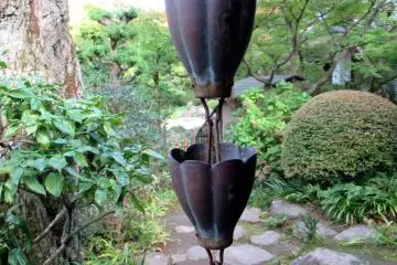 Part of the garden