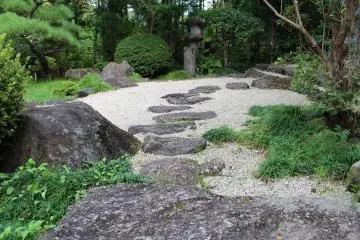 Part of the garden