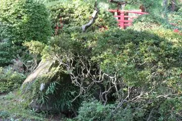 The garden features all kinds of trees and bushes