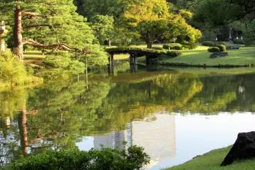Beautiful reflections