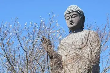 The Miracle of Amida Buddha