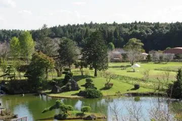 The garden