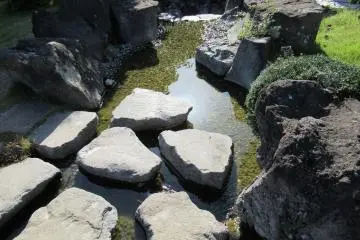 Another part of the garden 