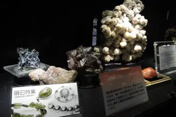The meteorite collection