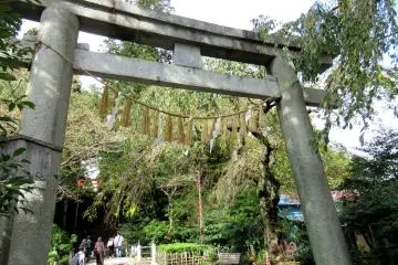 Another torii at the start of the way up
