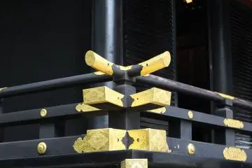A close up of the detail