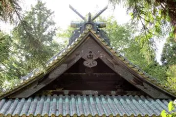 Roof details