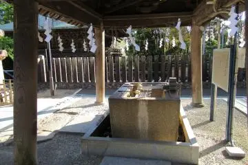 A purification basin