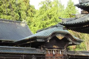 Green and brown are seen as the colours of nature