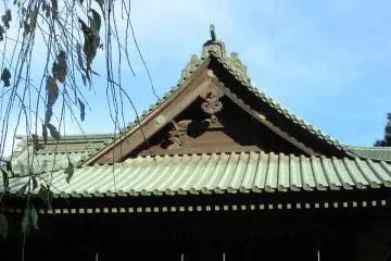 Roofing details
