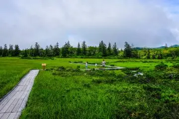 The walkway opens up to the beautiful marsh land