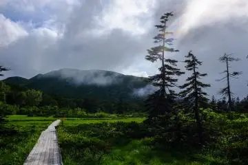 Low cloud rolling in giving the marsh land a gloomy atmosphere
