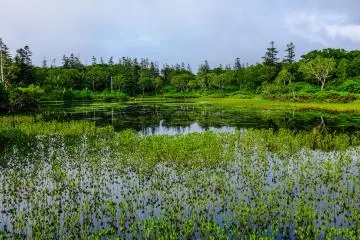The beautiful Lake Shinsennuma is popular all year round, especially during Autumn when the colors become even more spectacular