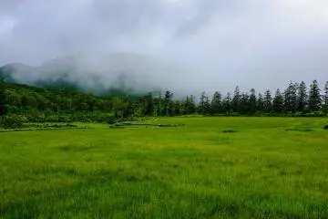 Shinsennuma marsh lands are somewhat of a hidden gem in the Niseko highlands